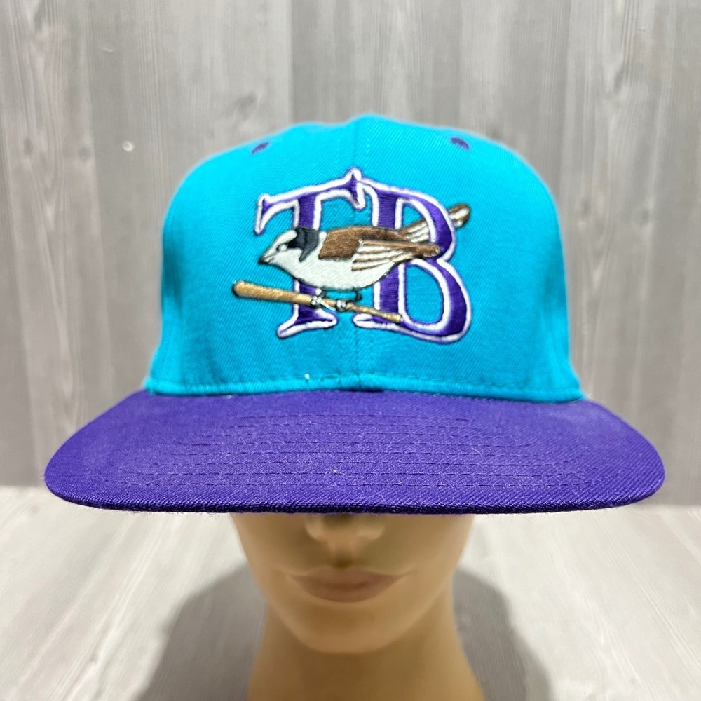 Vintage DeLong TB Bird Logo Snapback Hat Teal Purple Made in‎ USA Mens Cap